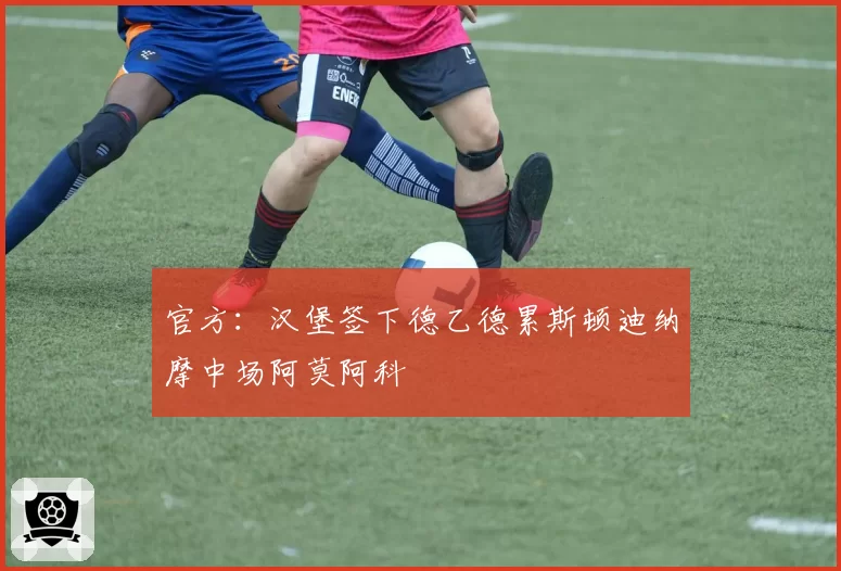 官方：汉堡签下德乙德累斯顿迪纳摩中场阿莫阿科